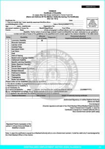 Form VII Certificate of Disability Other than form V and Form VI pdf